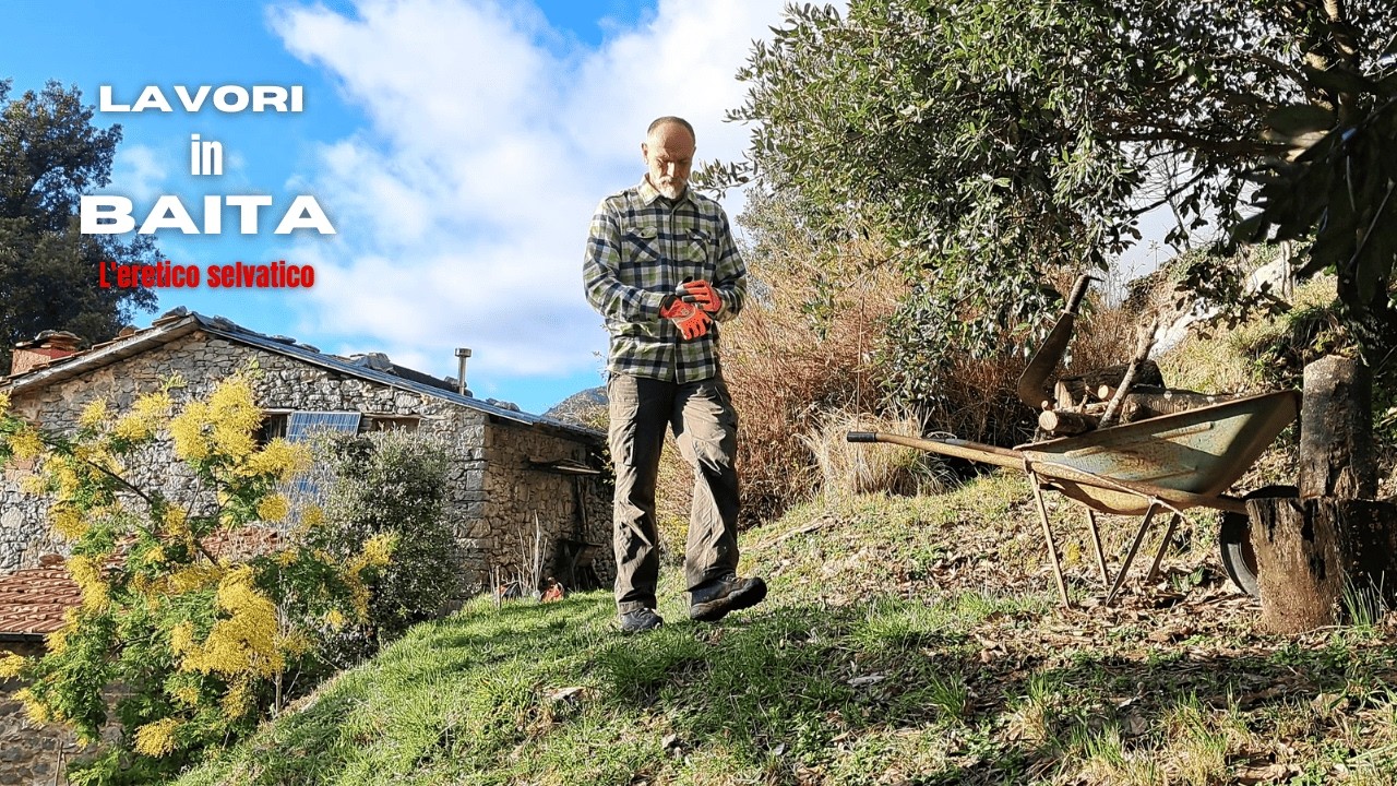 Lavori in baita; ringhiera in legno, raccolgo legna da ardere, piccolo incidente. Natura e relax.