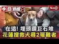 在這 埋頭鑽巨石堆 花蓮搜救犬尋2罹難者｜TVBS新聞 @TVBSNEWS01