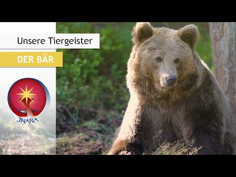 Video: Was symbolisiert der Bär auf keltisch?