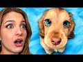 HARDEST Try Not To Say AWW Challenge EVER! (CUTE)