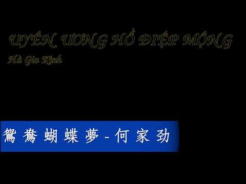 [Karaoke Effected + Vietsub] Uyên Ương Hồ Điệp Mộng - Hà Gia Kính (Bản tiếng Quảng Đông)