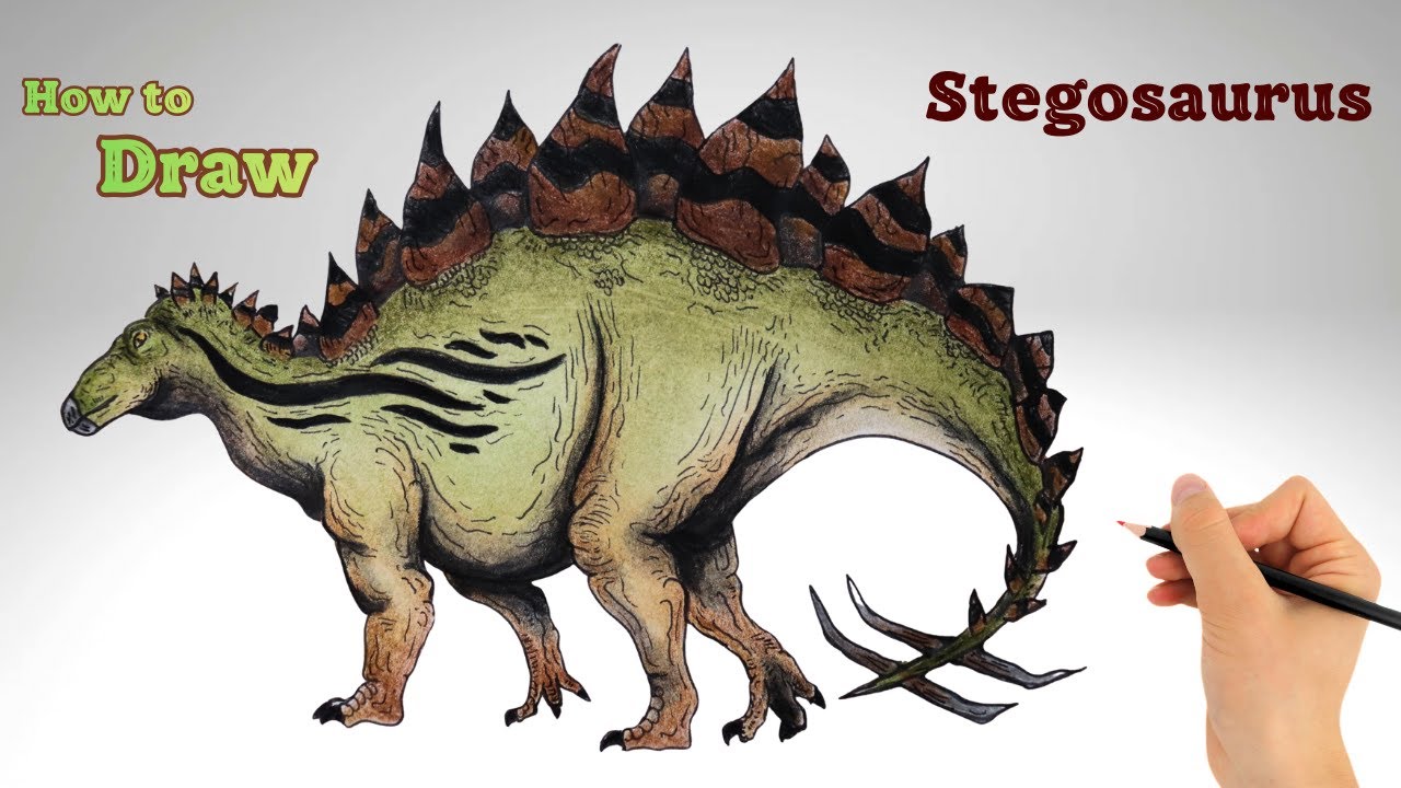 How to draw Stegosaurus