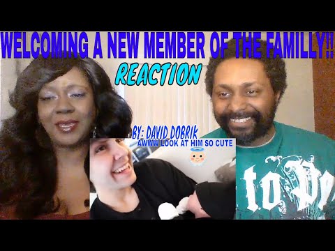 david-dobrik---welcoming-a-new-member-of-the-family!!-reaction