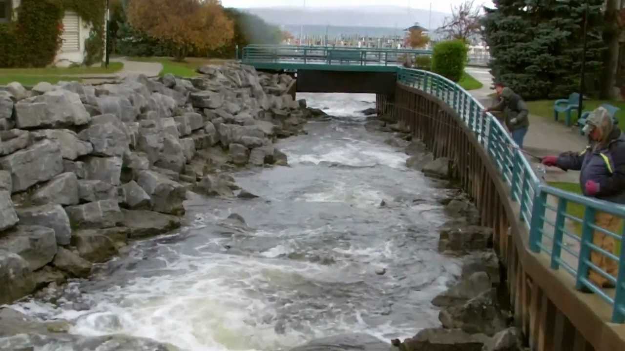 Petoskey 10612 Rainbows, salmon fishing and fall color tour! YouTube