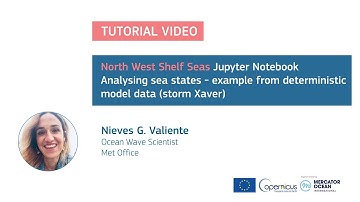 Jupyter Tutorial - NWS Seas - Wave model products - Analysing sea states
