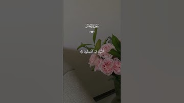 قران الكريم - سورة الحشر || القارئ - ياسر الدوسري || ولا تكونوا كالذين نسوا الله فانسهم انفسهم …