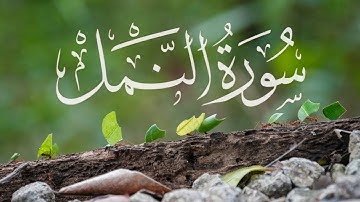 سورة النمل كاملة برواية حفص عن عاصم