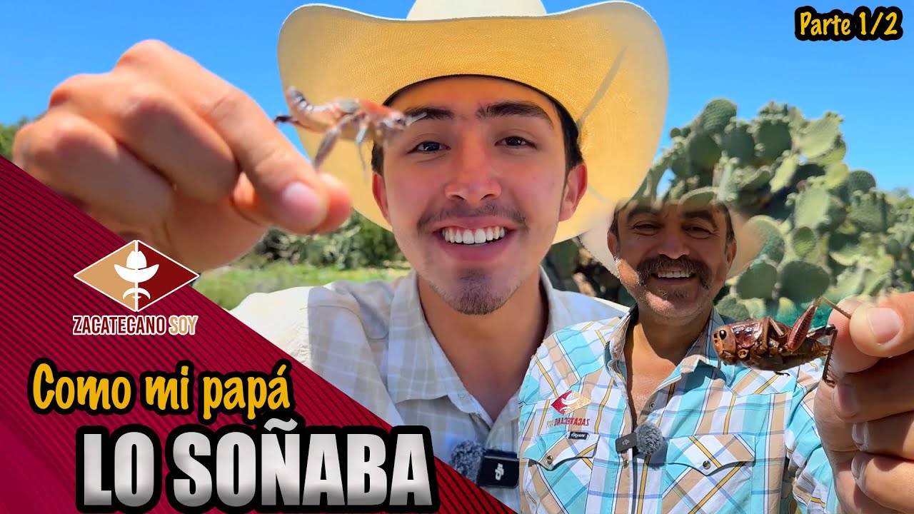 LOS CHAPULINES DEL ZACATECANO seguimos su proyecto