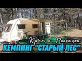 Кемпинг &quot;Старый лес&quot; в Крыму, п. Песчаное. Поездка в Херсонес Таврический. Пляж в Орловке.