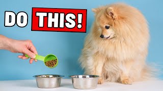 16 Genius Dog Life-Hacks (That Actually Work!)