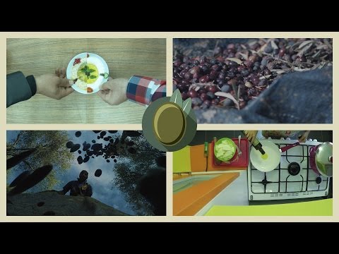 حكاية زيت الزيتون