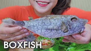 Asmr Eating Grilled Boxfish,Exotic Food,Eating Sounds Linh-Asmr
