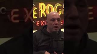 Joe Rogan on the collapse of Heaven