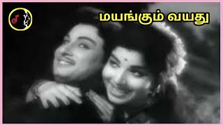 Download Lagu Mayangum Vayathu | மயங்கும் வயது | TMS | P.SUSHEELA MP3 Download Lagu Mayangum Vayathu | மயங்கும் வயது | TMS | P.SUSHEELA MP3