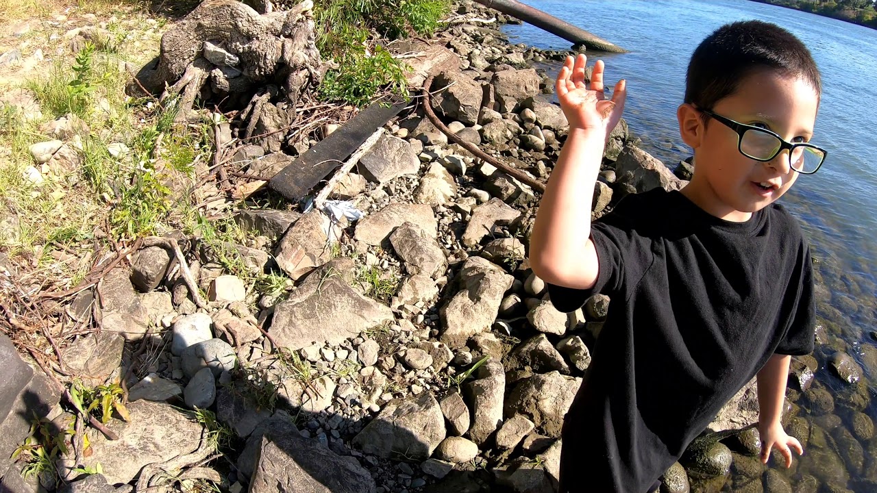 Bank fishing Sacramento river - YouTube