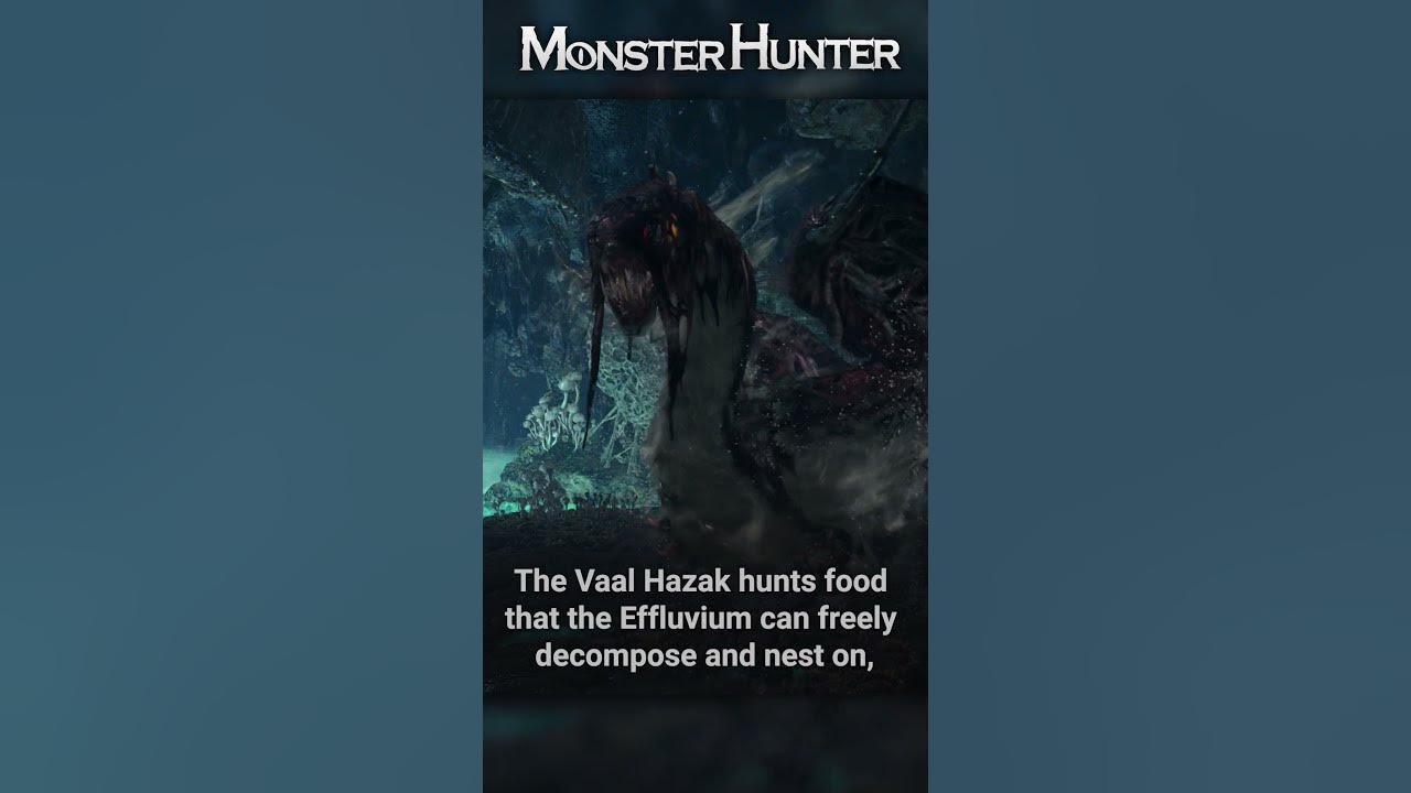 Meet the Vaal Hazak | Monster Hunter Ecology