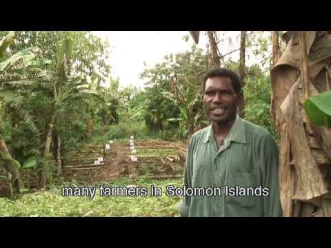 Our Seeds: Our One Hour Documentary With English Subtitles