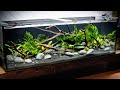 DIY STREAM Style Aquascape (Low Tech)