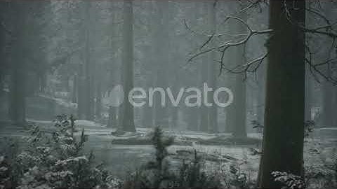 Winter Snow-covered Forest on a Cloudy Day | Motion Graphics - Envato elements
