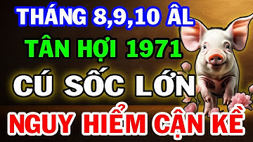NGUY HIỂM CẬN KỀ! Tân Hợi 1971 Sẽ Đối Mặt 3 CÚ SỐC LỚN Trong Tháng 8, 9,10 Âm Lịch!