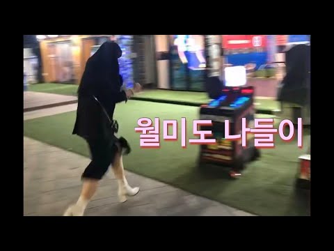 [VLOG] 월미도 | 조개구이 | 월미테마파크 | 여자둘이서 당일로 가는 월미도 🍺🍷🥂