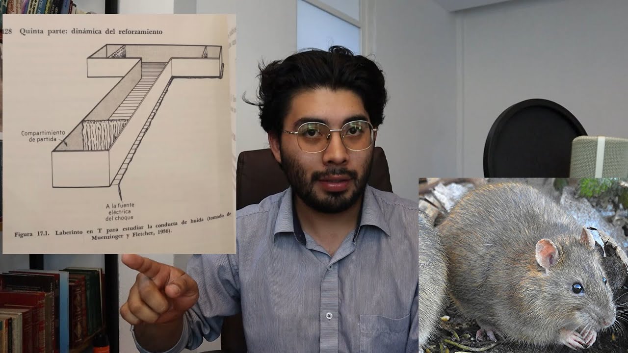 ¿Por qué eres masoquista?