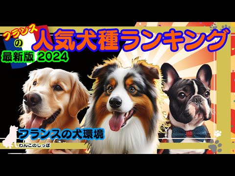 【ランキング】フランスの人気犬種と犬事情