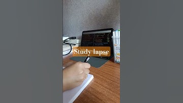 Study Lapse|D 21|The more I struggle more is my territory#study #video #viral #shorts #motivational