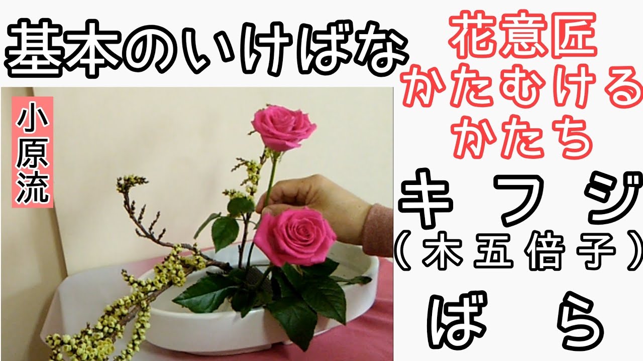 🔰 Easy to understand Ikebana - Ohara School of Ikebana - Wisteria