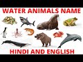 Water animals name in Hindi and English with pictures | Sea animals name in Hindi | Ocean Animals |