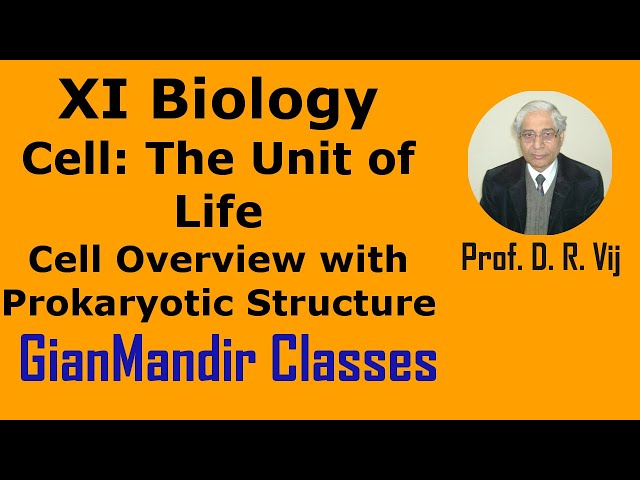 XI Biology | Cell The Unit of Life | Cell Overview with Prokaryotic Structure by Taranjeet Sir