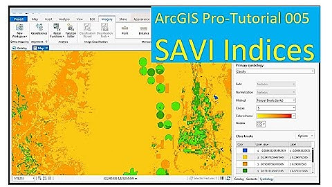 How to Create Soil Adjusted Vegetation Index (SAVI) in ArcGIS Pro