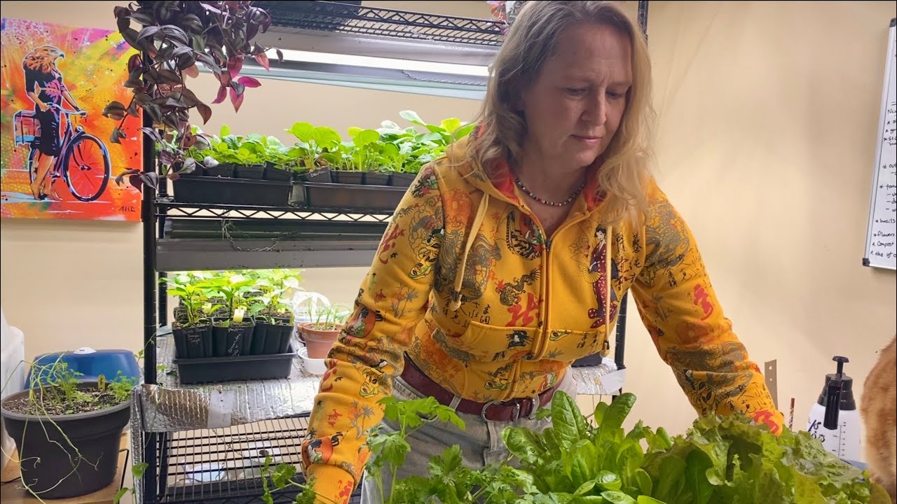 Snail Roll Fail and Rebound Success, with a Parsley Unroll & Reveal