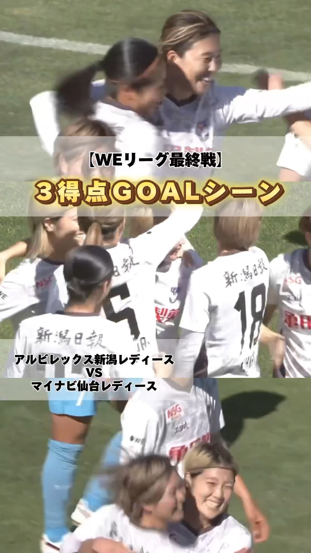 オーシャンズプロ 公式球 weリーグ 試合使用球 アルビレディース
