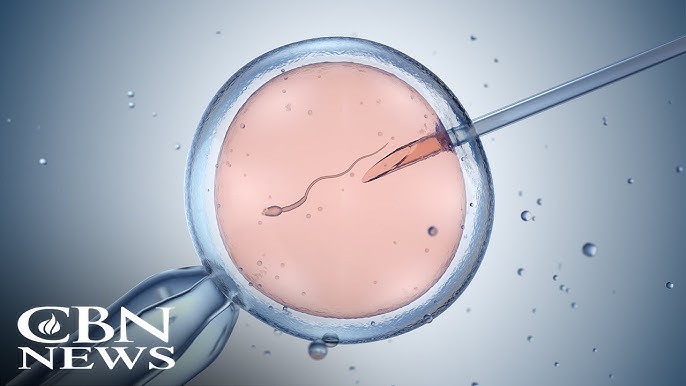 State Supreme Court S Ivf Ruling Ignites Debate Over Personhood Of Embryos