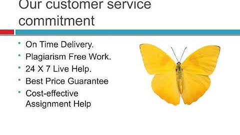 Online Assignment Help