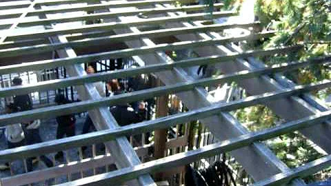 Central Park - 25 Dezembro 2008