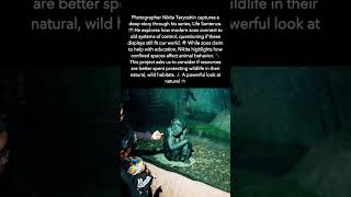 Exploring the Ethics of Modern Zoos: The Life Sentence Photo Series #shorts