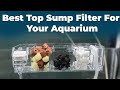 Best internal filter for your aquarium  top sump filter