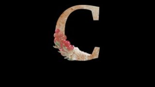 Famous PHP TUTORIAL-How To Use Echo In PHP Net Worth