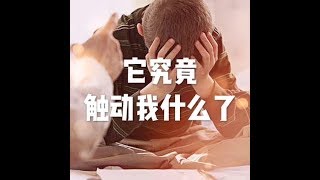 201306 它究竟触动我什么了10731