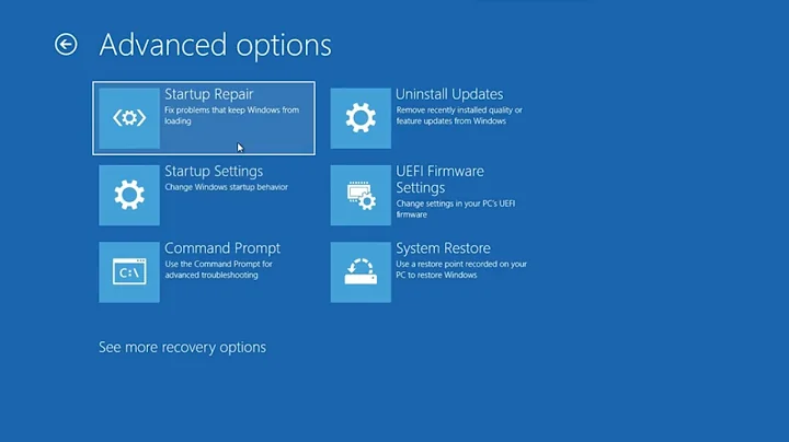 Tutorial: How to Boot to the Advanced Startup Options in Windows 10/11