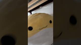 MY BIGGIE AXOLOTL #helpmemakethismakesense #ate #lol #gulp #gelp #axolotl #plushie #funnycore #fun