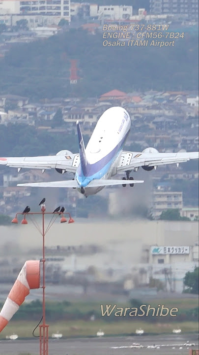 A refined takeoff and climb as always | ANA B737-881W | Osaka ITAMI Airport