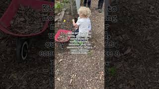 The importance of unstructured play 🌿 #outdoorplay #childledplay #forestschool #outdoorlearning