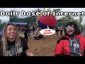 They're Having A BALL! | Daily Dose Of Internet Reaction