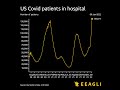 Us covid patients in hospital