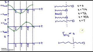 Simple Harmonic Motion Graphs IB Physics