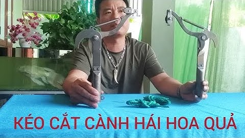 CÂY KÉO CẮT TỈA CÀNH CÂY HÁI HOA QUẢ TRÊN CAO THUẬN TIỆN CHO MỌI GIA ĐÌNH MẪU MỚI CHẤT LƯỢNG 
