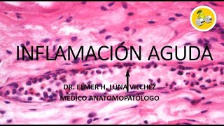 INFLAMACIÓN AGUDA - EVENTOS VASCULARES / Dr. Elmer Luna Vilchez
